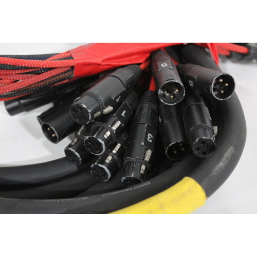 Whirlwind 25 8pr Insert Snake Cable w 8 3-Pin Male & 8 3-Pin Female Connectors at One End & 16 14 TRS Connectors at the Other End - 2