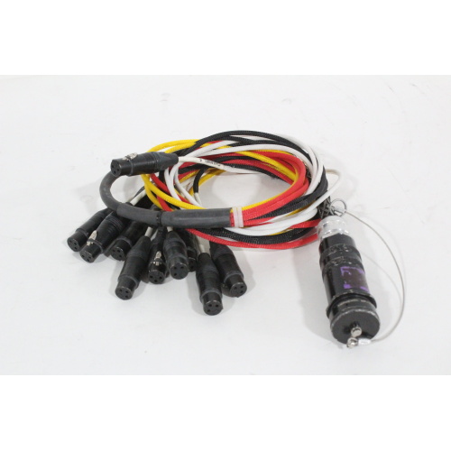 12 Channel Amphenol Snake Cable - 1