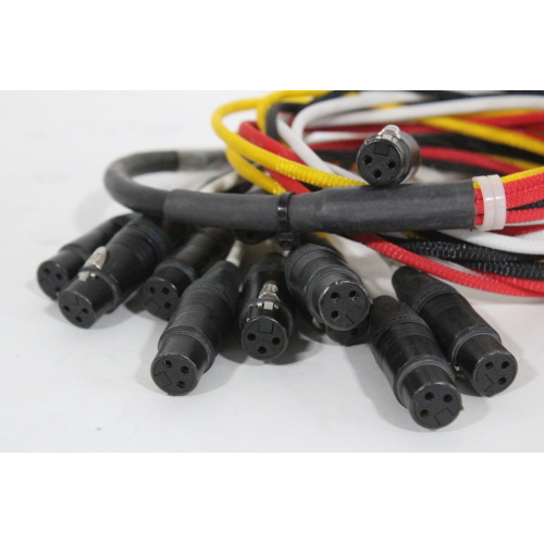 12 Channel Amphenol Snake Cable - 3