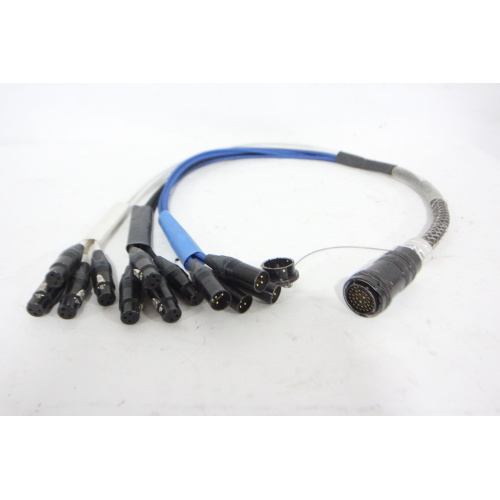 12 Channel Fanout Cable - 3 - 1