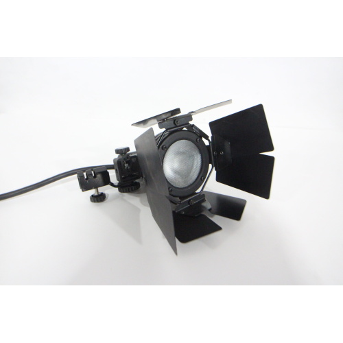 Lowel ViP System 500W Pro Fresnel Light w 4 Door Barndoor - 1