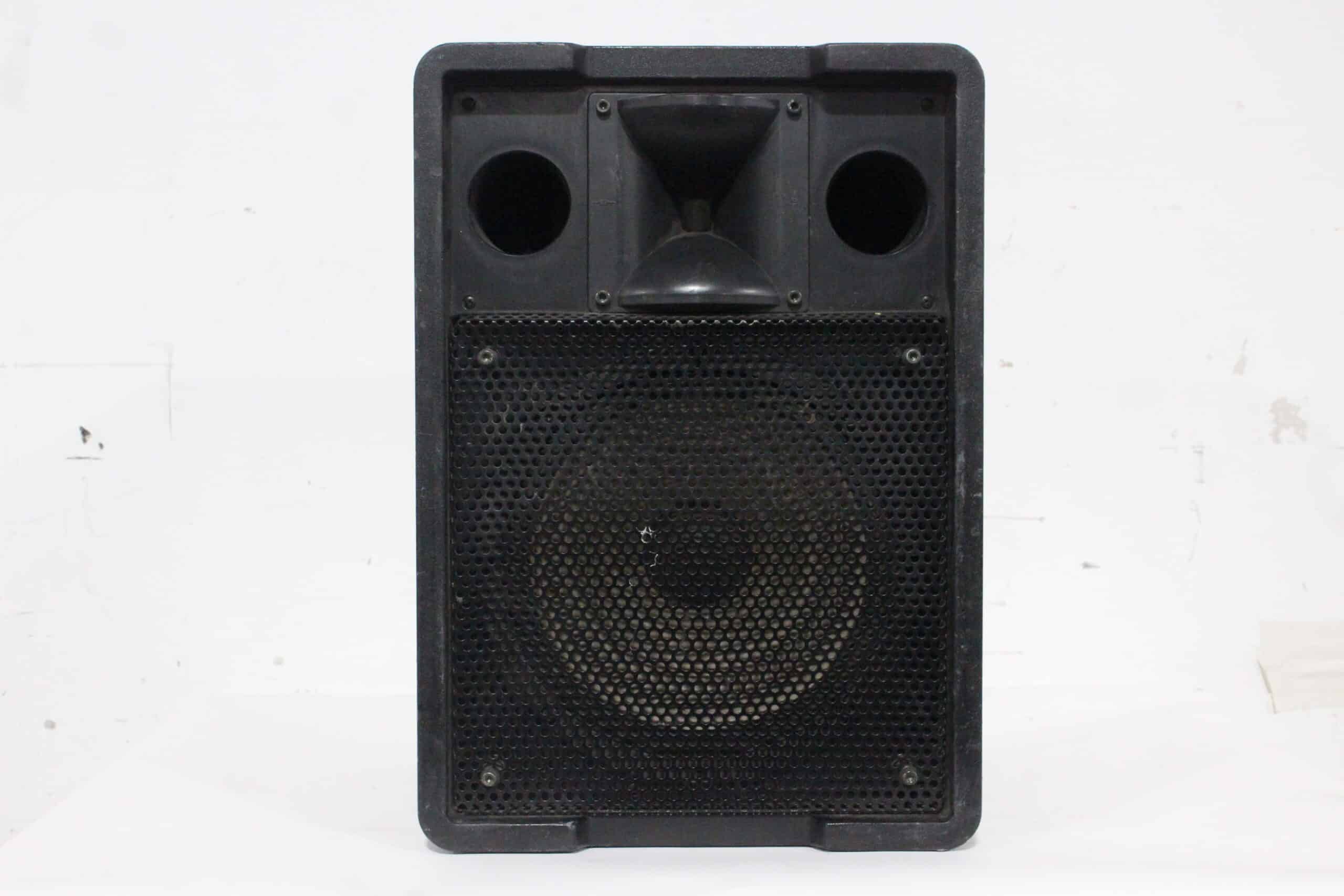 Panasonic Ramsa WS-A200 Compact High Power Speaker